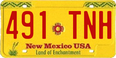 NM license plate 491TNH