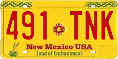 NM license plate 491TNK
