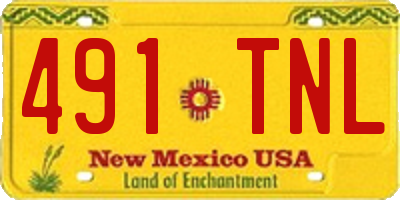NM license plate 491TNL