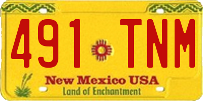 NM license plate 491TNM