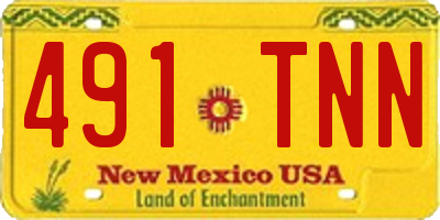 NM license plate 491TNN