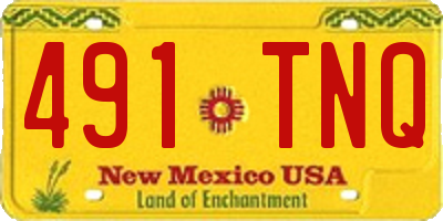 NM license plate 491TNQ