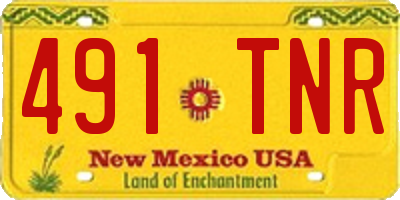 NM license plate 491TNR