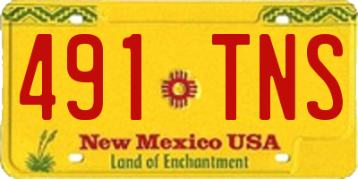 NM license plate 491TNS