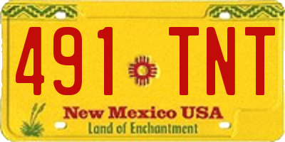 NM license plate 491TNT