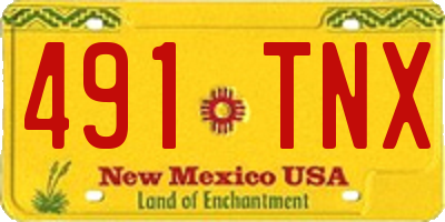 NM license plate 491TNX