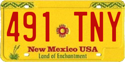 NM license plate 491TNY