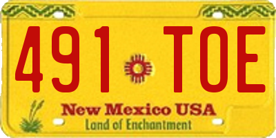 NM license plate 491TOE