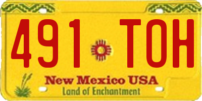NM license plate 491TOH
