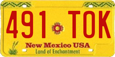 NM license plate 491TOK