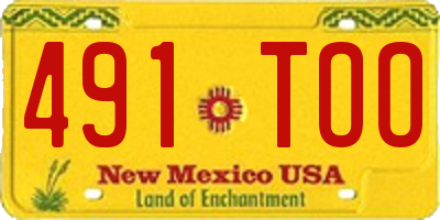 NM license plate 491TOO