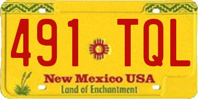 NM license plate 491TQL