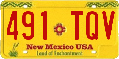 NM license plate 491TQV