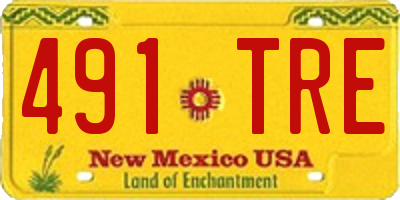 NM license plate 491TRE