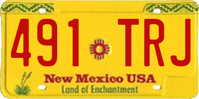 NM license plate 491TRJ