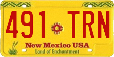 NM license plate 491TRN