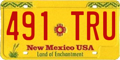 NM license plate 491TRU