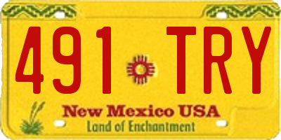 NM license plate 491TRY