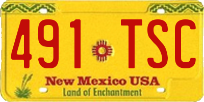 NM license plate 491TSC