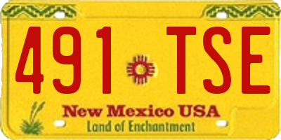 NM license plate 491TSE