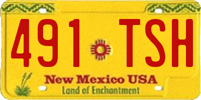 NM license plate 491TSH