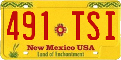 NM license plate 491TSI