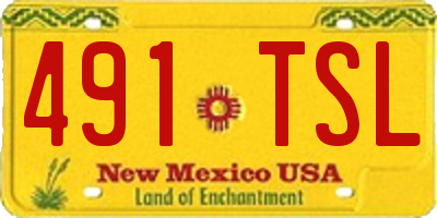 NM license plate 491TSL