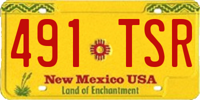 NM license plate 491TSR