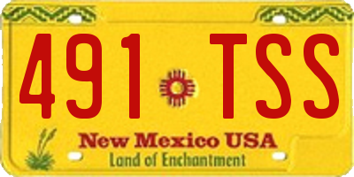 NM license plate 491TSS