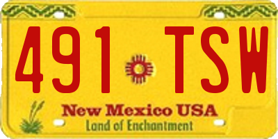 NM license plate 491TSW