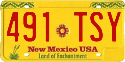 NM license plate 491TSY