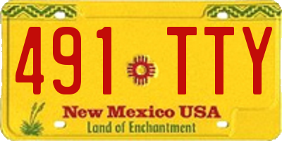NM license plate 491TTY