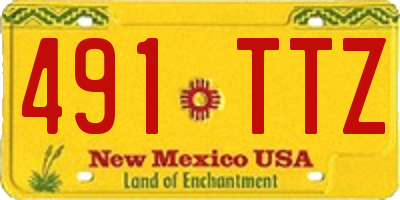 NM license plate 491TTZ
