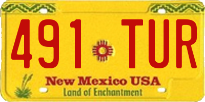 NM license plate 491TUR