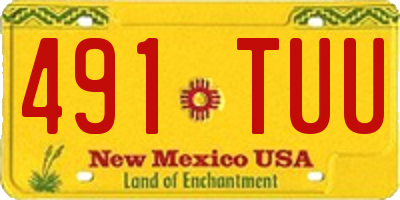 NM license plate 491TUU