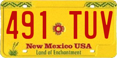 NM license plate 491TUV
