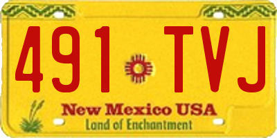 NM license plate 491TVJ