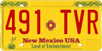 NM license plate 491TVR