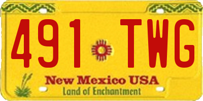 NM license plate 491TWG