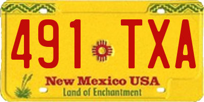 NM license plate 491TXA