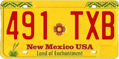 NM license plate 491TXB