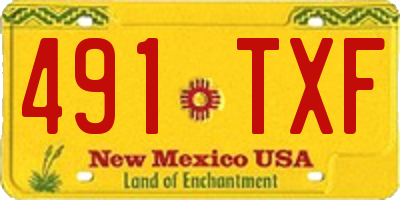 NM license plate 491TXF