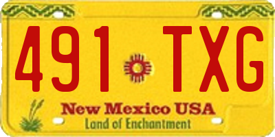 NM license plate 491TXG