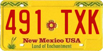 NM license plate 491TXK