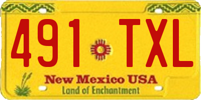 NM license plate 491TXL