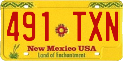 NM license plate 491TXN