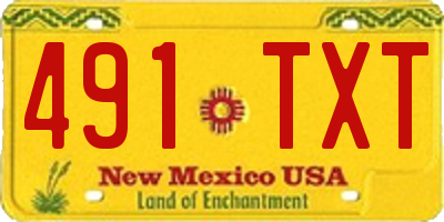 NM license plate 491TXT