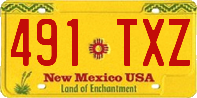 NM license plate 491TXZ