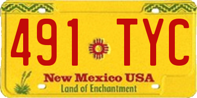 NM license plate 491TYC