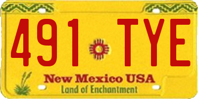 NM license plate 491TYE